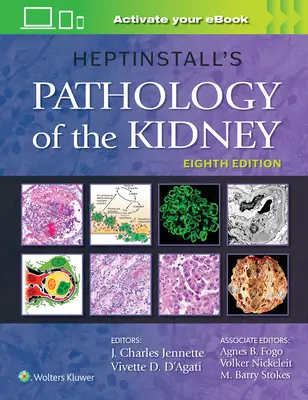 Heptinstalls Pathologie der Niere - Heptinstall's Pathology of the Kidney