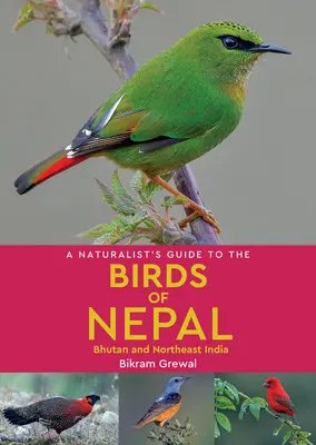 Handbuch für Naturforscher über die Vögel Nepals - A Naturalist's Guide to the Birds of Nepal