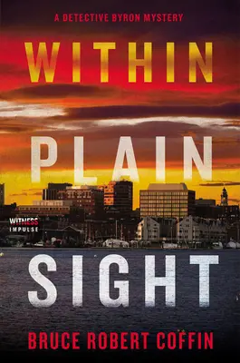 In aller Deutlichkeit: Ein Detektiv Byron-Krimi - Within Plain Sight: A Detective Byron Mystery