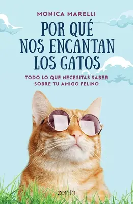 Por Qu Nos Encantan Los Gatos