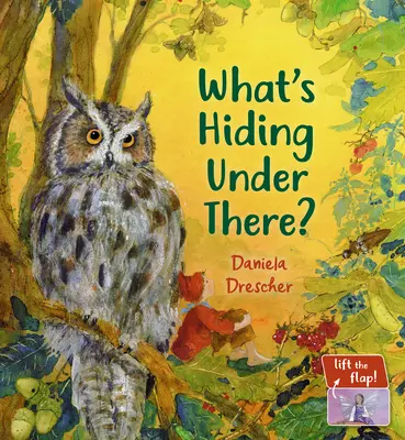 Was ist da drunter versteckt? Ein magisches Klappenbuch - What's Hiding Under There?: A Magical Lift-The-Flap Book