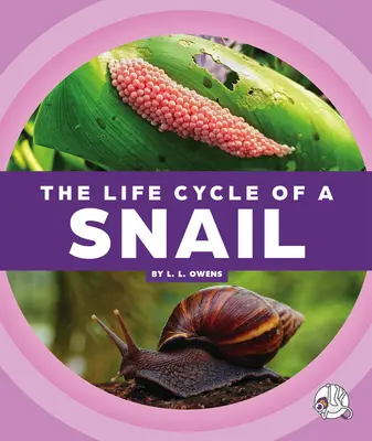 Der Lebenszyklus einer Schnecke - The Life Cycle of a Snail