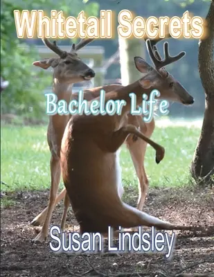 Whitetail-Geheimnisse: Junggesellenleben - Whitetail Secrets: Bachelor Life