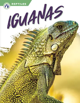 Leguane - Iguanas