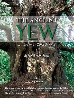 Ancient Yew - Eine Geschichte von Taxus Baccata - Ancient Yew - A History of Taxus Baccata