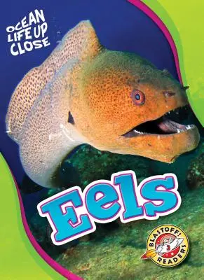 Aale - Eels