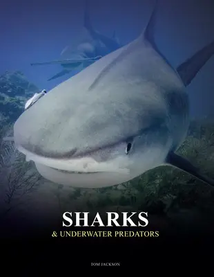 Haie und Unterwasserraubtiere - Sharks & Underwater Predators