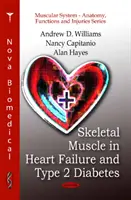 Skelettmuskulatur bei Herzinsuffizienz und Typ-2-Diabetes - Skeletal Muscle in Heart Failure & Type 2 Diabetes