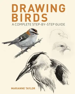 Zeichnen von Vögeln: Eine komplette Schritt-für-Schritt-Anleitung - Drawing Birds: A Complete Step-By-Step Guide