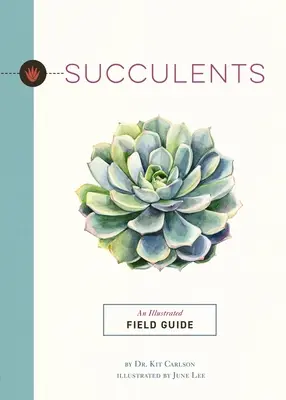 Sukkulenten: Ein illustrierter Feldführer - Succulents: An Illustrated Field Guide