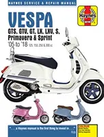 Vespa GTS125, 250 & 300ie, LX, S, Primavera 125 & 150 Service & Reparatur Handbuch (2005 bis 2018) - Vespa GTS125, 250 & 300ie, LX, S, Primavera 125 & 150 Service & Repair Manual (2005 to 2018)