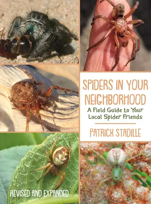 Spinnen in Ihrer Nachbarschaft: Ein Feldführer zu Ihren lokalen Spinnenfreunden, überarbeitet und erweitert - Spiders in Your Neighborhood: A Field Guide to Your Local Spider Friends, Revised and Expanded