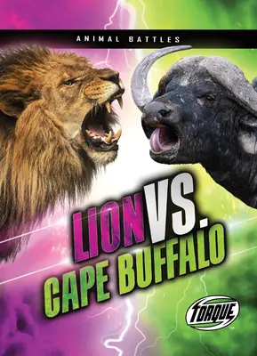 Löwe vs. Kap-Büffel - Lion vs. Cape Buffalo