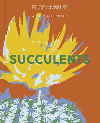 Sukkulenten - Succulents