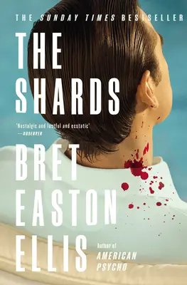 Scherben - Bret Easton Ellis. Der neue Roman des Autors von AMERICAN PSYCHO, dem Sunday Times-Bestseller - Shards - Bret Easton Ellis. The Sunday Times Bestselling New Novel from the Author of AMERICAN PSYCHO