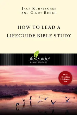 Wie man eine Rettungsschwimmer-Bibelstudie leitet - How to Lead a Lifeguide Bible Study