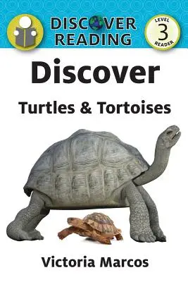 Schildkröten & Wasserschildkröten entdecken - Discover Turtles & Tortoises
