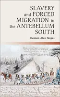 Sklaverei und erzwungene Migration im Süden der Vorkriegszeit - Slavery and Forced Migration in the Antebellum South