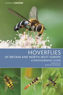 Schwebfliegen in Großbritannien und Nordwesteuropa: Ein fotografischer Führer - Hoverflies of Britain and North-West Europe: A Photographic Guide