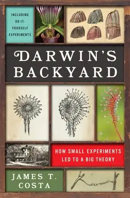 Darwins Hinterhof: Wie kleine Experimente zu einer großen Theorie führten - Darwin's Backyard: How Small Experiments Led to a Big Theory