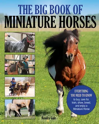 Das große Buch der Miniaturpferde: Alles, was Sie wissen müssen, um ein eigenes Miniaturpferd zu kaufen, zu pflegen, zu trainieren, auszustellen, zu züchten und zu genießen - The Big Book of Miniature Horses: Everything You Need to Know to Buy, Care For, Train, Show, Breed, and Enjoy a Miniature Horse of Your Own