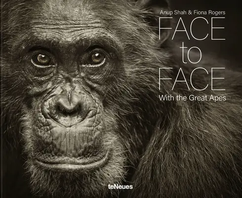 Von Angesicht zu Angesicht: Mit den Großen Menschenaffen - Face to Face: With the Great Apes