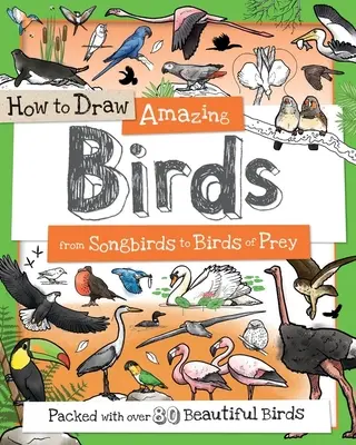 Wie man erstaunliche Vögel zeichnet: Von Singvögeln bis zu Raubvögeln - How to Draw Amazing Birds: From Songbirds to Birds of Prey