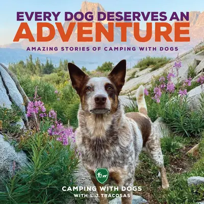 Jeder Hund verdient ein Abenteuer: Erstaunliche Geschichten vom Camping mit Hunden - Every Dog Deserves an Adventure: Amazing Stories of Camping with Dogs