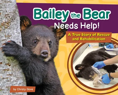 Bailey, der Bär, braucht Hilfe: Eine wahre Geschichte von Rettung und Rehabilitation - Bailey the Bear Needs Help!: A True Story of Rescue and Rehabilitation