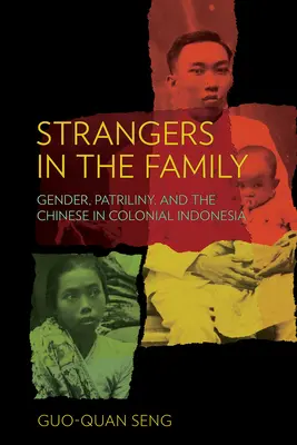 Fremde in der Familie: Geschlecht, Patriliny und die Chinesen im kolonialen Indonesien - Strangers in the Family: Gender, Patriliny, and the Chinese in Colonial Indonesia