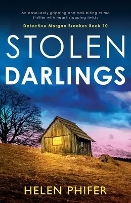 Gestohlene Lieblinge: Ein absolut fesselnder und nervenaufreibender Krimi mit herzzerreißenden Wendungen - Stolen Darlings: An absolutely gripping and nail-biting crime thriller with heart-stopping twists