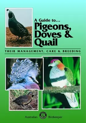 Ein Leitfaden für Tauben, Tauben und Wachteln: Haltung, Pflege und Zucht - A Guide to Pigeons, Doves & Quail: Their Management, Care & Breeding