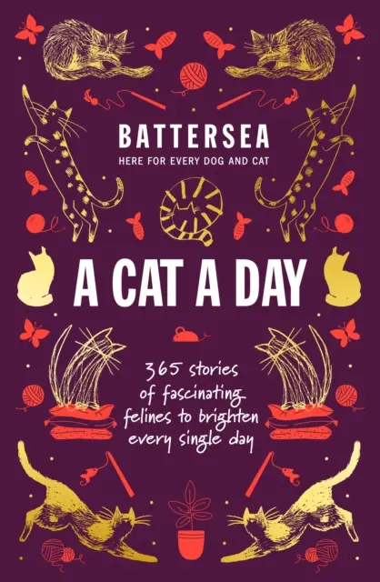 Battersea Dogs and Cats Home - A Cat a Day - 365 Geschichten über faszinierende Katzen, die jeden Tag verschönern - Battersea Dogs and Cats Home - A Cat a Day - 365 stories of fascinating felines to brighten every day