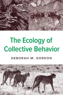 Die Ökologie des kollektiven Verhaltens - The Ecology of Collective Behavior