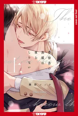 Die schwarze Katze und der Vampir, Band 1 - The Black Cat & the Vampire, Volume 1