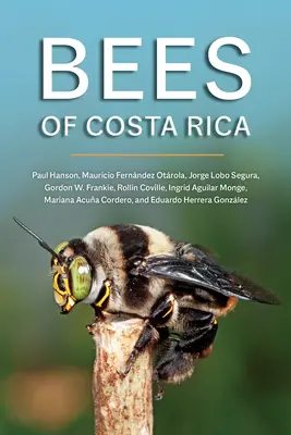 Die Bienen von Costa Rica - Bees of Costa Rica