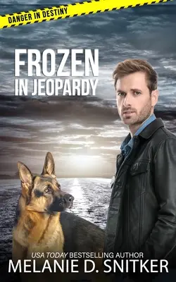 Gefroren in Gefahr: Christlich-romantische Spannung - Frozen in Jeopardy: Christian Romantic Suspense