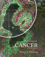 Biologie des Krebses (Weinberg Robert A. (Massachusetts Institute of Technology)) - Biology of Cancer (Weinberg Robert A. (Massachusetts Institute of Technology))