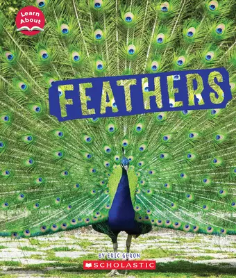 Federn (Lernen Sie mehr über: Tierische Bedeckungen) - Feathers (Learn About: Animal Coverings)