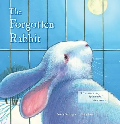 Das vergessene Kaninchen - The Forgotten Rabbit