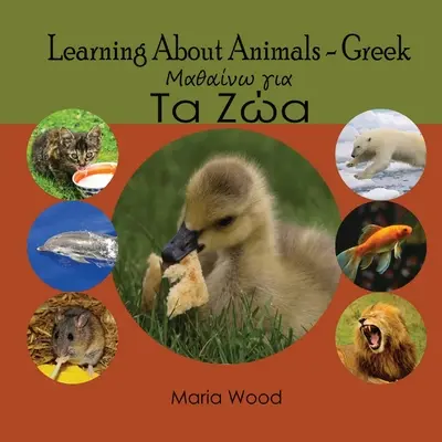 Lernen über Tiere - Griechisch - Learning About Animals- Greek