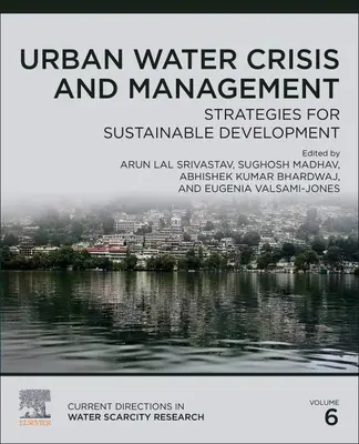 Städtische Wasserkrise und Management: Strategien für eine nachhaltige Entwicklung, Band 6 - Urban Water Crisis and Management: Strategies for Sustainable Developmentvolume 6