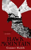 Hawk Mountain - Ein hochspannender und beunruhigender literarischer Thriller - Hawk Mountain - A highly suspenseful and unsettling literary thriller