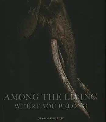 Unter den Lebenden: Wo du hingehörst - Among the Living: Where You Belong