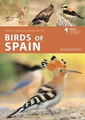 Vögel Spaniens: Zweite Ausgabe - Birds of Spain: Second Edition