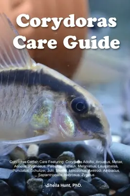 Corydoras Pflegeanleitung. Corydoras-Welse Pflege mit: Corydoras Adolfoi, Arcuatus, Metae, Aeneus, Pygmaeus, Paleatus, Rabauti, Melanistius, Leucomel - Corydoras Care Guide. Corydoras Catfish Care Featuring: Corydoras Adolfoi, Arcuatus, Metae, Aeneus, Pygmaeus, Paleatus, Rabauti, Melanistius, Leucomel