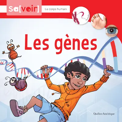 Geschlechtsorgane - Les Gnes