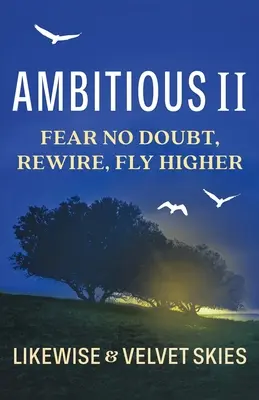 Ehrgeizig II: Keine Angst vorm Zweifeln, neu verkabeln, höher fliegen - Ambitious II: Fear No Doubt, Rewire, Fly Higher