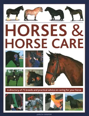 Pferde & Pferdepflege: Ein Verzeichnis von 80 Rassen und praktische Ratschläge für die Pflege Ihres Pferdes - Horses & Horse Care: A Directory of 80 Breeds and Practical Advice on Caring for Your Horse