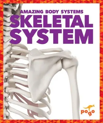 Skelettsystem - Skeletal System